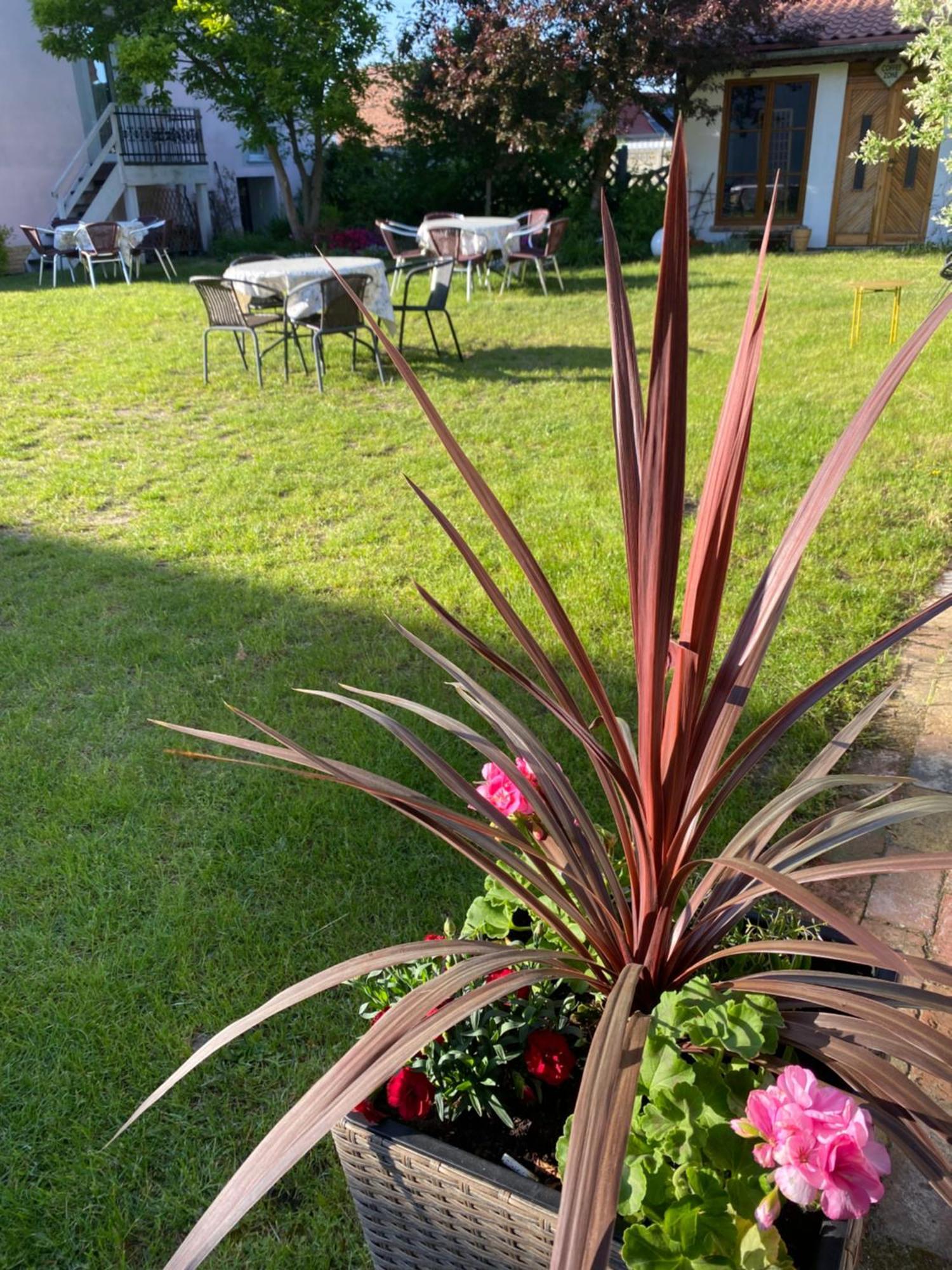 Guest House Wiejska Sielanka Brody  Εξωτερικό φωτογραφία