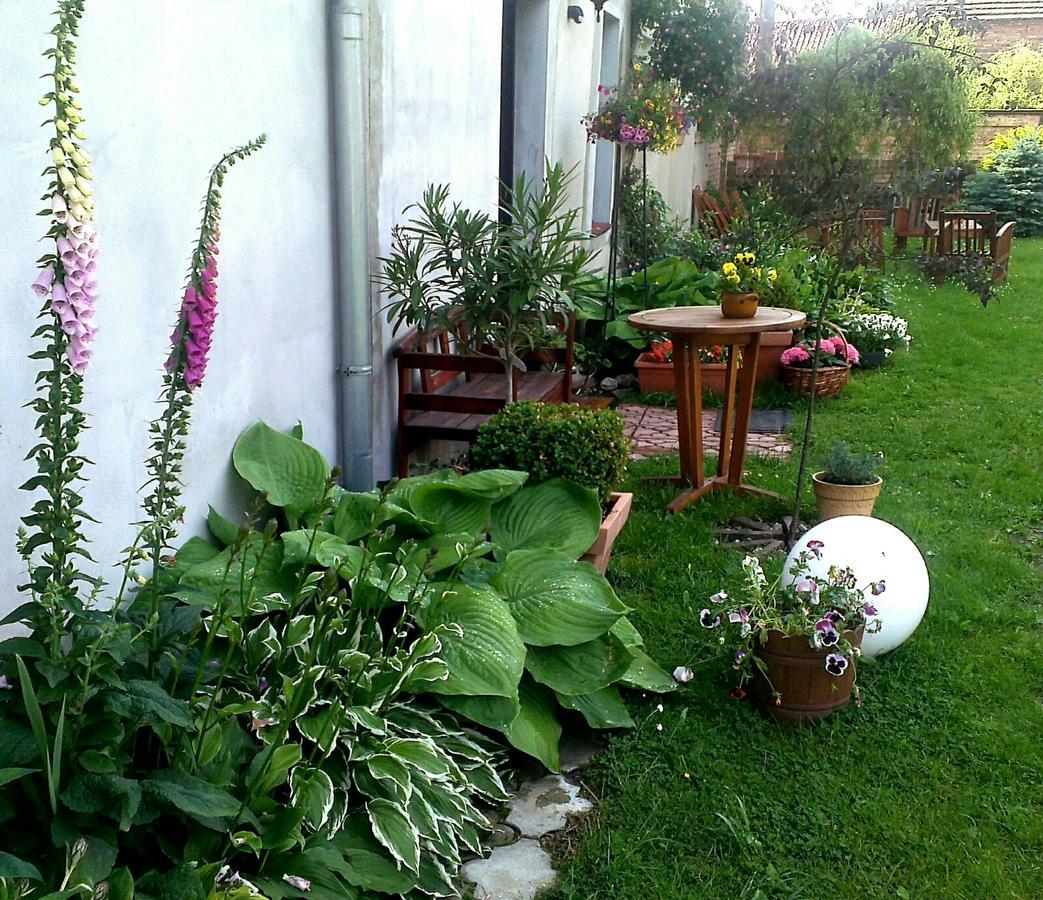 Guest House Wiejska Sielanka Brody  Εξωτερικό φωτογραφία
